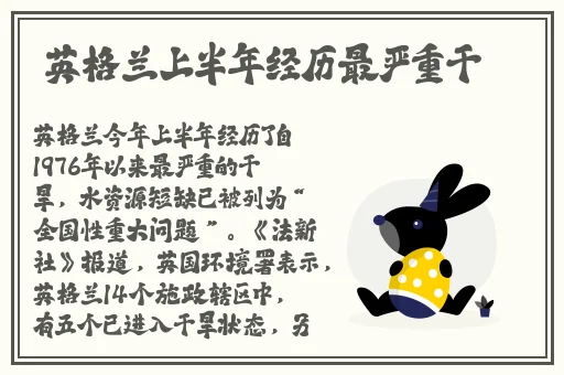 皇家共享小公主多肉